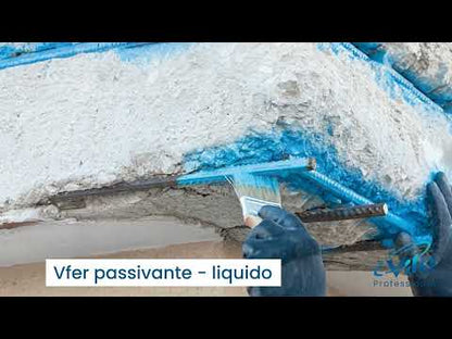 V Fer Passivante liquido 1 K