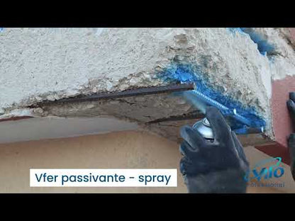 V Fer Passivante spray